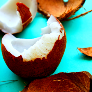 coconut fruit