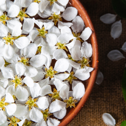 jasmine flowers in a clay bowl with decorative scattered petals