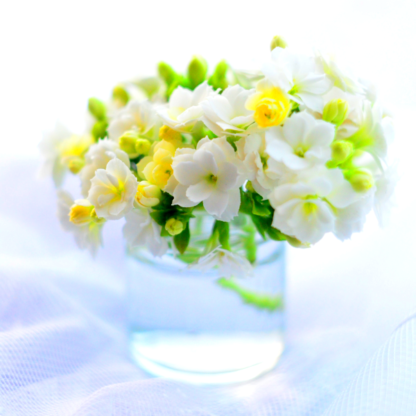 neroli flowers in glass vase