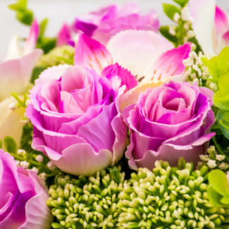 bright pink roses set in a background of green